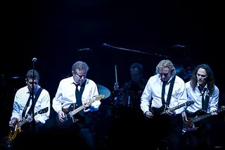 Eagles, photo by Steve Alexander